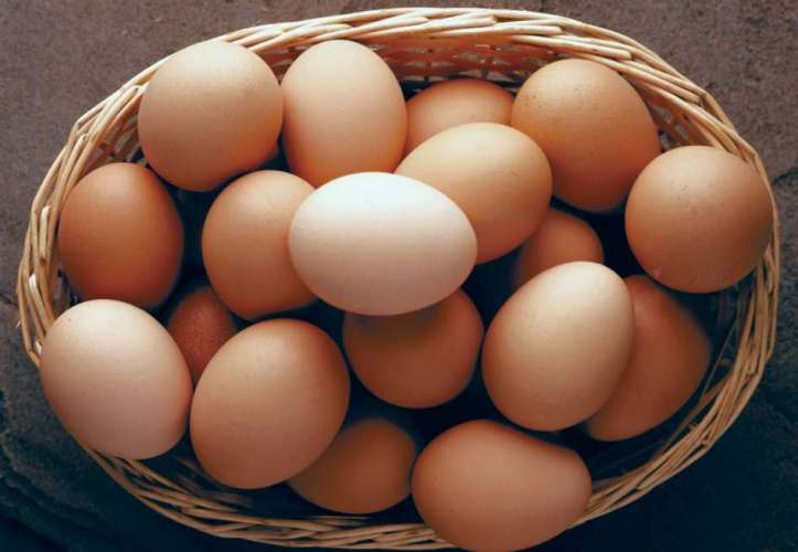 eggs अंडों के ये फायदे जानकर आप भी कहेंगे SUNDAY हो या MONDAY रोज खाओ अंडे