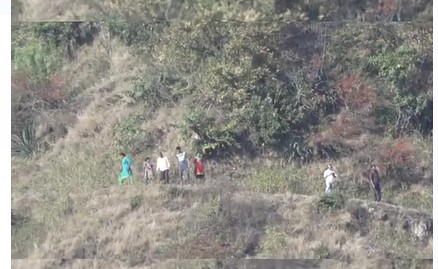 Screenshot 2022 03 21 162953 अल्मोड़ा : झंडगांव में बाघ का आतंक, ग्रामीणों ने की पिंजरे लगाने मांग