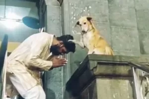 i इस मंदिर में श्रद्धालुओं को 'आशीर्वाद' देता है कुत्ता, VIDEO VIRAL