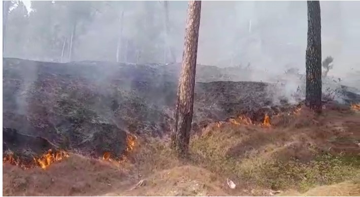 Screenshot 2022 04 28 121528 अल्मोड़ा: जंगलों में लगी आग काबू में, वन विभाग ने स्थानीय लोगों से सहयोग की अपील