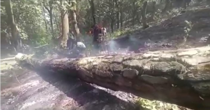 Screenshot 2022 04 28 121616 अल्मोड़ा: जंगलों में लगी आग काबू में, वन विभाग ने स्थानीय लोगों से सहयोग की अपील
