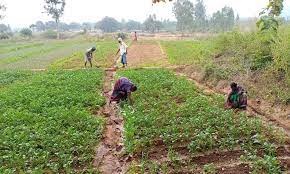 download 3 Natural Farming Convention: प्रधानमंत्री नरेंद्र मोदी आज 'प्राकृतिक कृषि सम्मेलन' को करेंगे संबोधित,