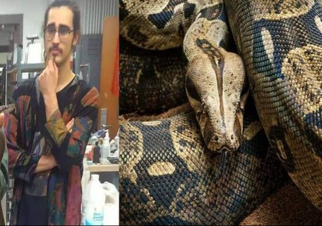 Python snake main Python Snake ने अपने ही मालिक को दी मौत, पालने की मिली सज़ा !