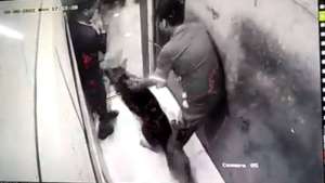 123 2 गाजियाबाद के बाद नोएडा की लिफ्ट में शख्स को पालतू कुत्ते ने काटा, Video आया सामने