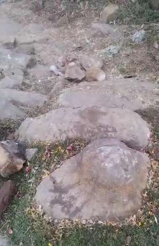 WhatsApp Image 2022 12 23 at 11.08.31 AM UP News: गोवर्धन पर्वत पर बने दाऊजी के मंदिर में विग्रह में तोड़फोड़, ग्रामीणों में आक्रोश