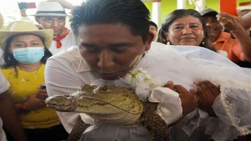 03 07 2022 Marriage With Crocodile: मेक्सिको में मेयर ने की मगरमच्‍छ से शादी, वीडियो वायरल