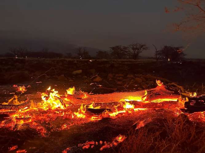 F3MXgLyWUAEpr4Y US Hawaii Wildfires: हवाई राज्य के जंगलों में फैली भीषण आग, 67 अमेरिकी नागरिकों की जलकर मौत